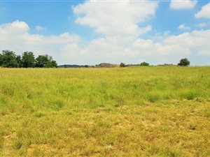 1650 m² Land available in Berg en Dal