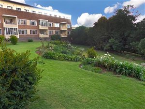 3 Bed Apartment in Waverley