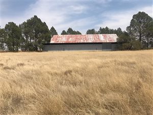 276 ha Farm in Wesselsbron