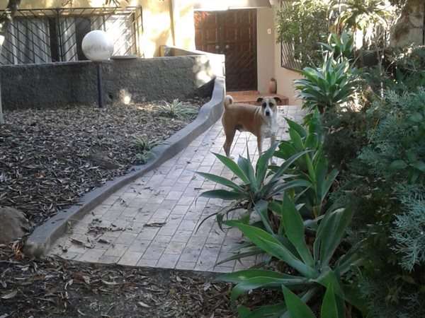 Smallholding to rent in Laezonia - RR3141333 - Private ...