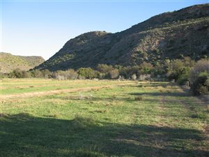 6 ha Farm in Ladismith