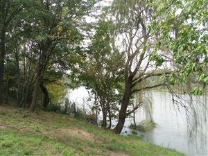 3.6 ha Farm in Zuurfontein