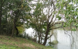 3.6 ha Farm in Bonanne