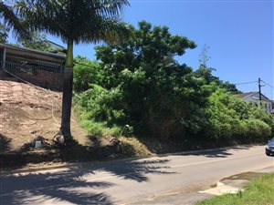 1068 m² Land available in Briardene