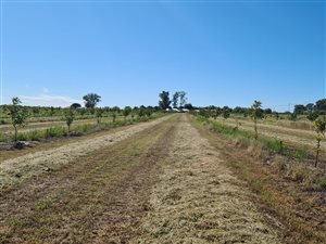 Game Farm in Hartswater