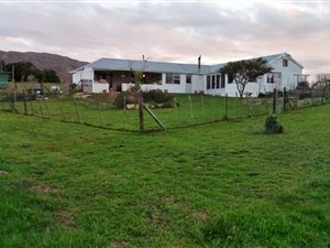 3 ha Farm in Tesselaarsdal