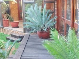 2 Bed House in Arcadia