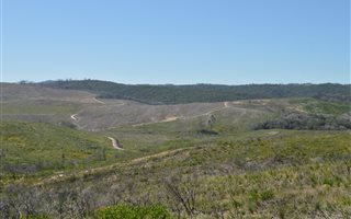 3436 m² Land available in Pezula Private Estate