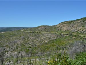 3436 m² Land available in Pezula Private Estate