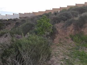 867 m² Land available in Saldanha