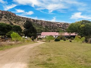 342.6 ha Farm in Ladybrand
