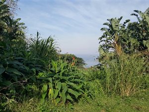 1623 m² Land available in Pumula