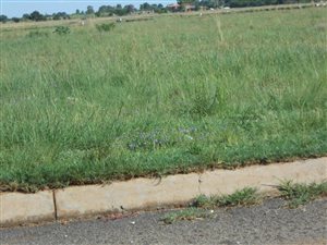 1001 m² Land available in Riversdale