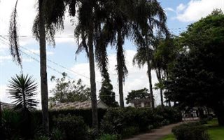 1 Bedroom Garden Cottage in Winston Park