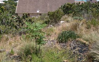 413 m² Land available in Mountainside