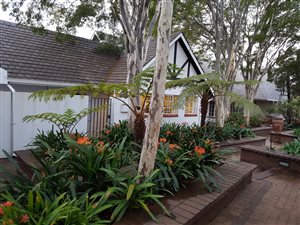 1 Bed Garden Cottage in Lynnwood Glen