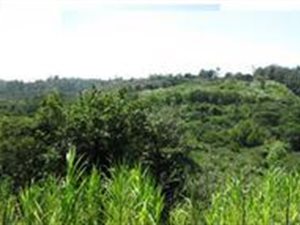 10 ha Farm in Marina Beach
