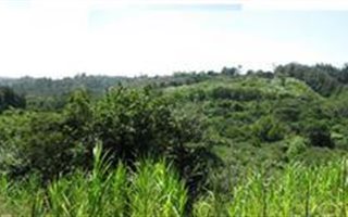 10 ha Farm in Marina Beach