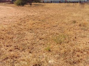 1 ha Land available in Ivory Park