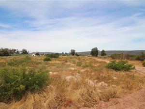 917 m² Land available in Redelinghuys