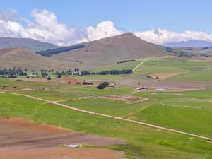 1964 ha Farm in Kokstad