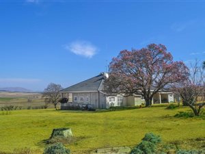 1964 ha Farm in Kokstad