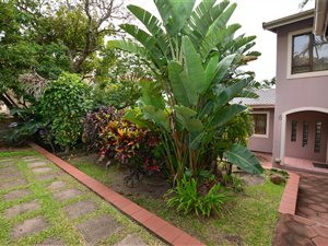 4 Bed House in Compensation Beach
