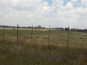 2.1 ha Land available in Sherman Park AH