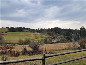 8.2 ha Smallholding in Rosetta