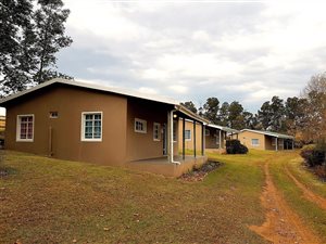 8.2 ha Smallholding in Rosetta