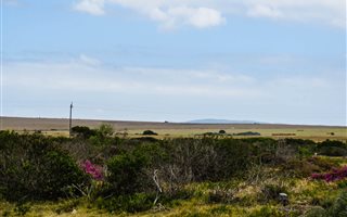 663 m² Land available in Boggomsbaai