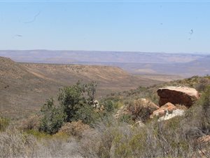 1868 ha Farm in Calvinia