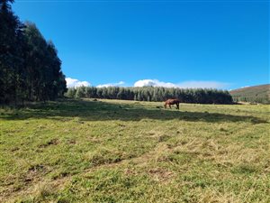 501.9 ha Farm in Underberg