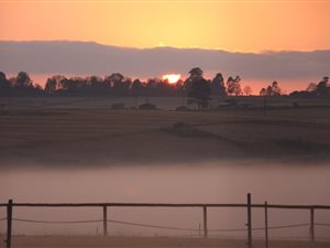 10 ha Farm in Hilton