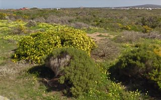 732 m² Land available in Gouritsmond