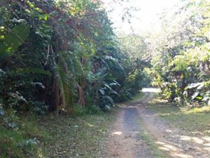 1089 m² Land available in Leisure Bay
