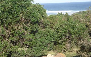 862 m² Land available in Cove Rock
