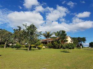 1 ha Smallholding in White River Central