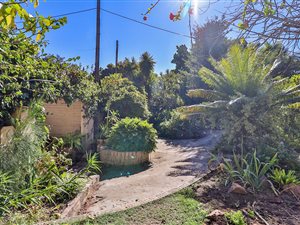 3 ha Farm in Humansdorp
