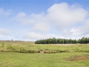 1 ha Land available in Dullstroom