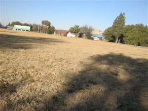 969 m² Land available in Rothdene