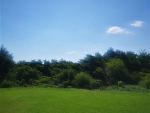 9250 ha Farm in Eldoraigne