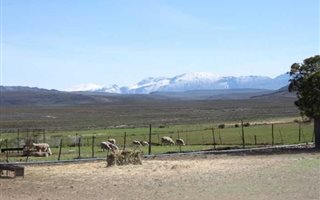 993.9 ha Farm in Montagu