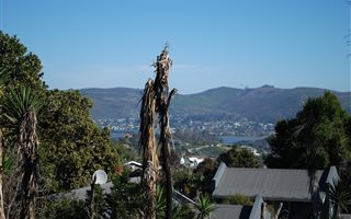 1946 m² Land available in Knysna Heights