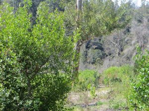 400 m² Land available in Phantom River View