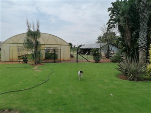 8.6 ha Land available in Wildebeeshoek AH