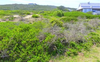 855 m² Land available in Moquini Coastal Estate