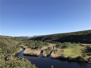 42 ha Farm in Stilbaai