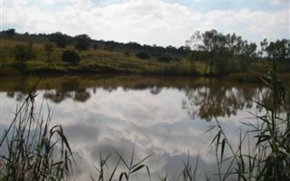 11 ha Farm in Rietfontein