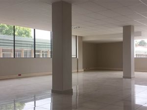 1246 m² Office Space in Lyttelton Manor